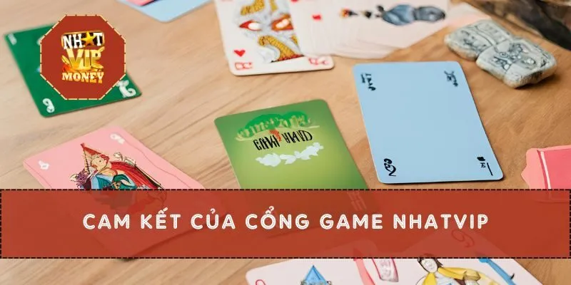 cam-ket-chinh-sach-bao-mat-nhatvip